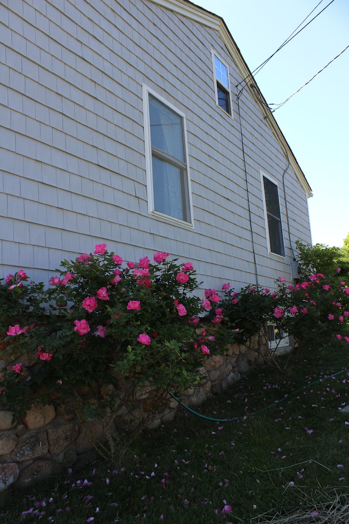 Beach Cottage 1 Mile From Weekapaug & Misquamicut Houses for Rent in