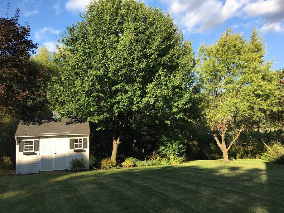 Beautiful back yard