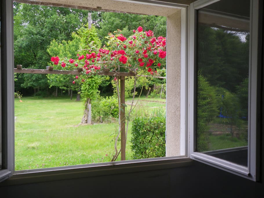 jardin fleuri
calme