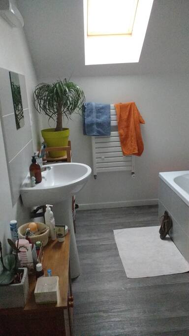 Salle de bain