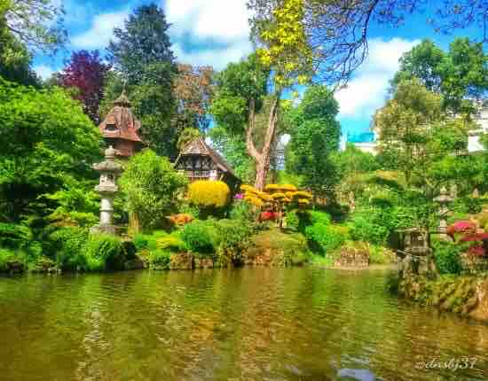 A serene garden features a tranquil pond reflecting the surrounding greenery. Lush trees and colorful shrubs create a vibrant landscape. Traditional stone lanterns are positioned thoughtfully among the foliage, providing an inviting ambiance. A charming wooden structure is visible in the background, completing the picturesque scene.