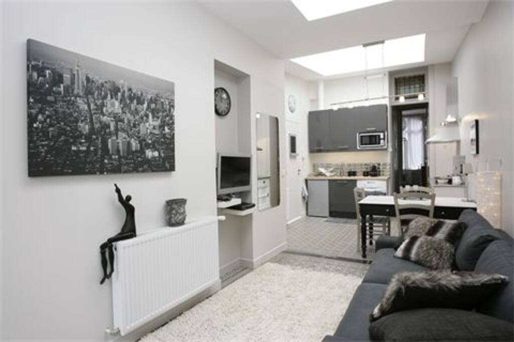 appartement lumineux cuisine toute équipée