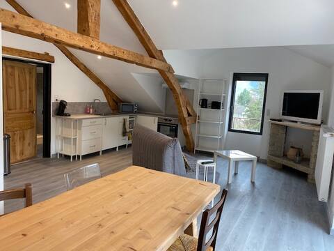 Cozy apartment