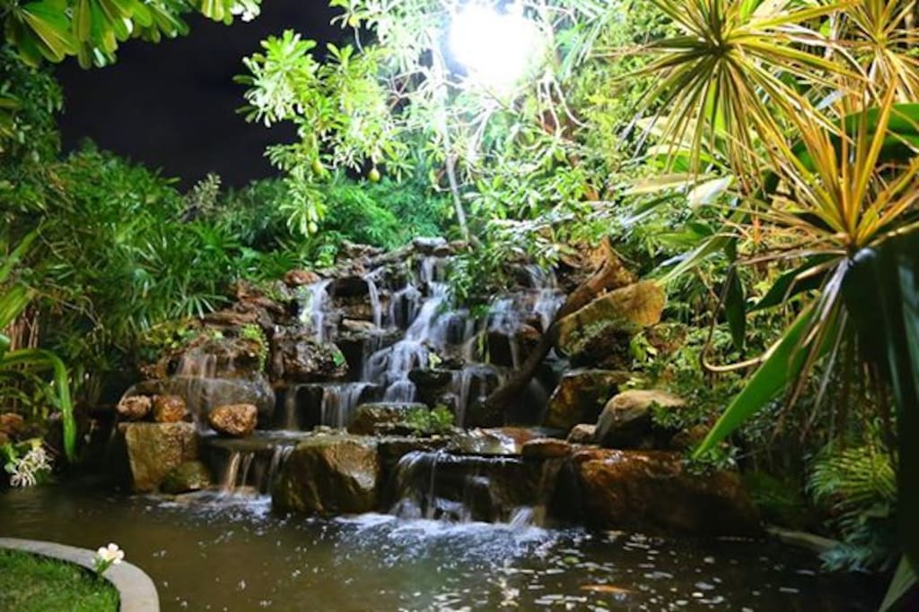 Waterfall in the back of the garden