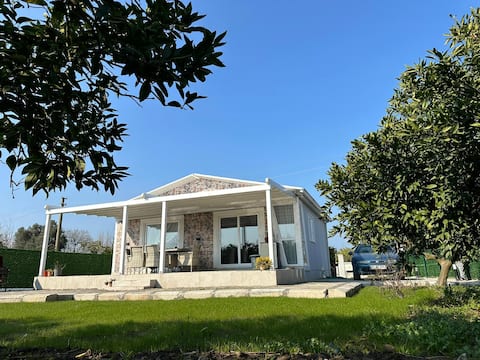 A Quiet Corner in a Quiet City.