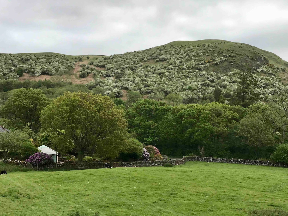 A lush green field is bordered by a stone wall, with a variety of trees and shrubs visible. In the background, a gently sloping hill is covered with vegetation, creating a serene natural landscape under a cloudy sky.