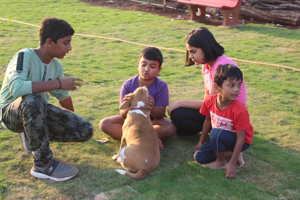 Farmhouse for Weekend Getaways Near Mumbai.
