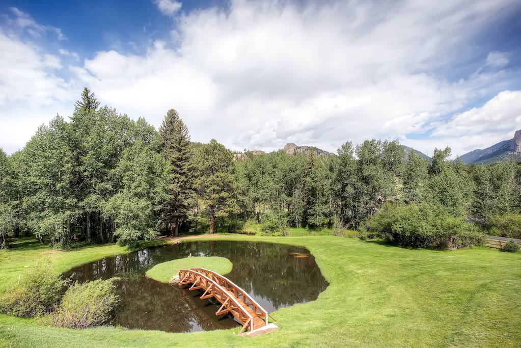 Outdoors,Pond,Water,Fir,Tree