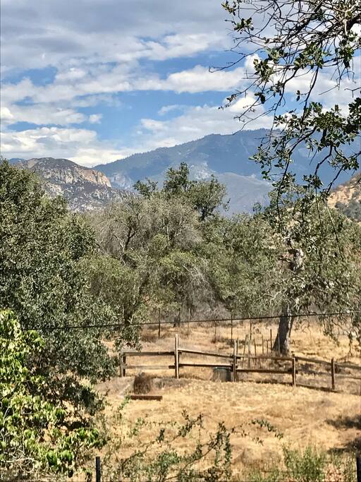 Local scenery