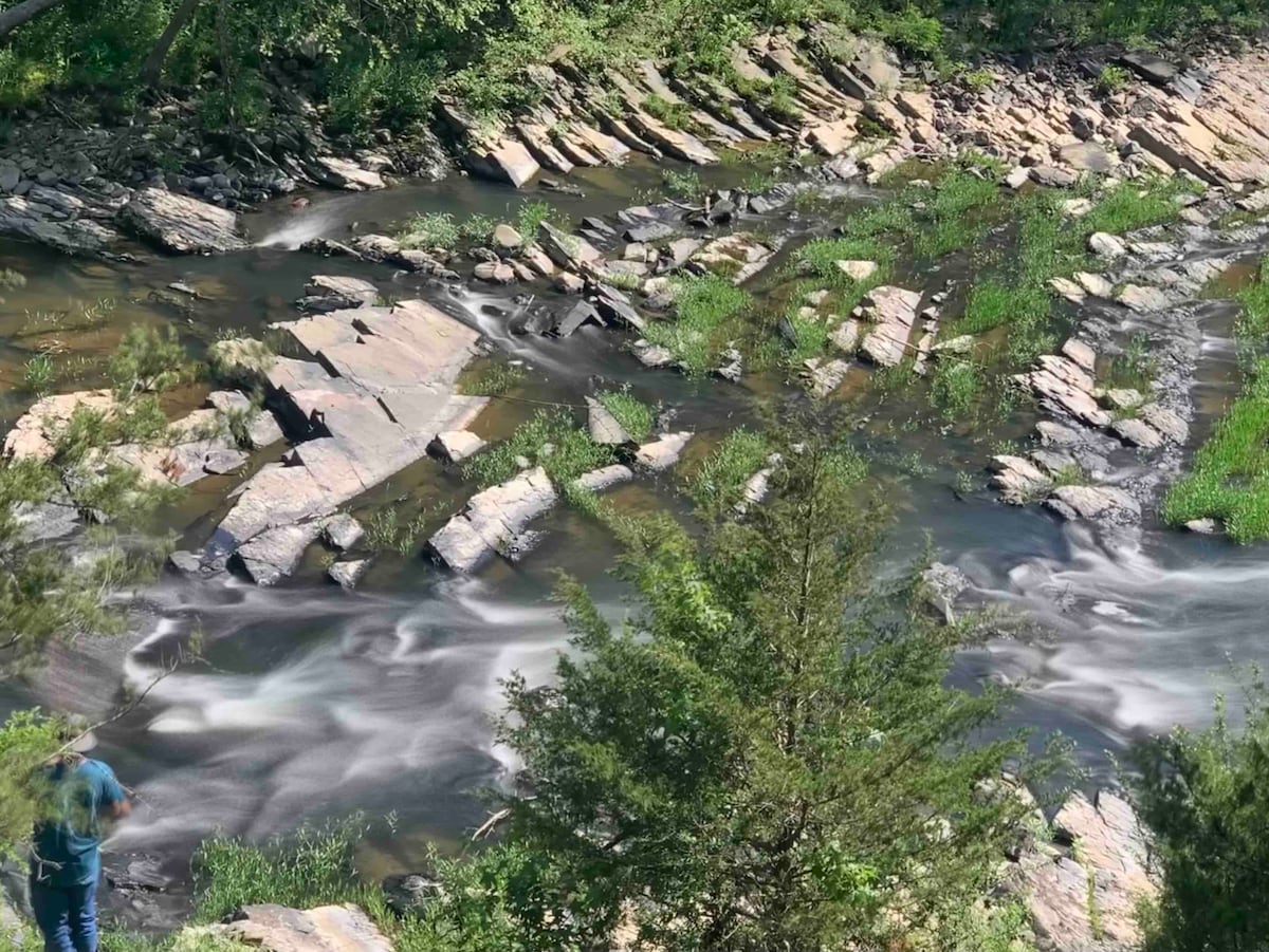 A serene creek flows gently over smooth rocks, surrounded by lush greenery. Tall trees stand nearby, creating a natural setting. The water appears to shimmer softly under sunlight, enhancing the tranquil atmosphere of the countryside.