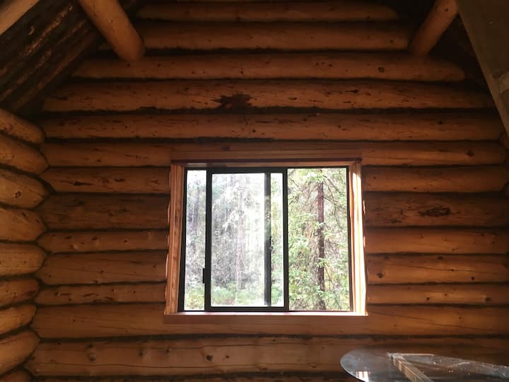 Top 10 Airbnb Vacation Rentals Near Denali National Park, USA Updated 2024 Trip101