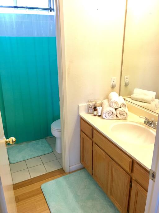 guest bathroom & shower