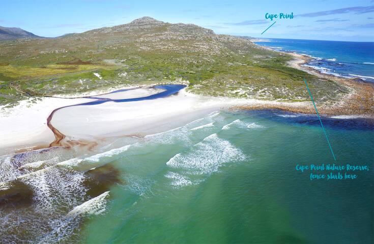 Beach House Scarborough gallery image 3