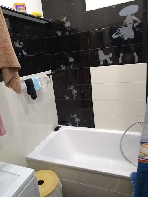 The bathroom