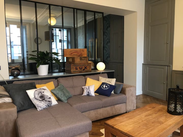 Chambre Spacieuse + Sdb Entre Gare Et Centre - Laval, France