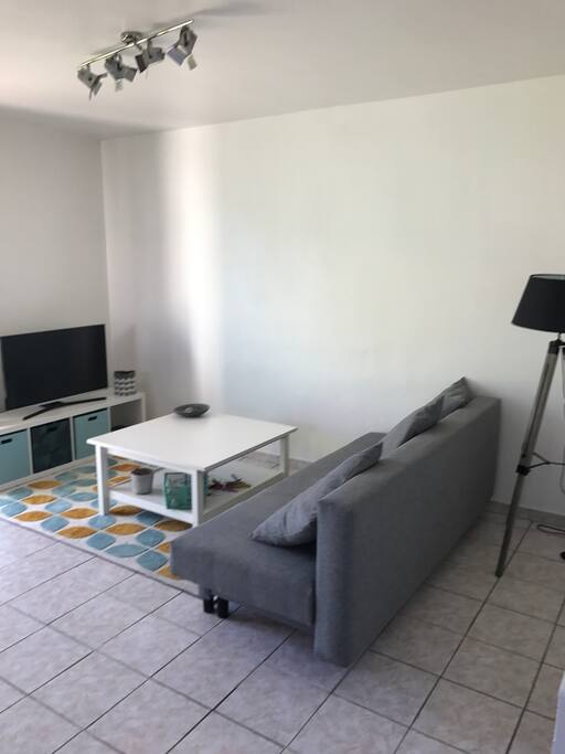 Salon,avec écran plat ,canapé convertible neuf ,couette et oreiller ,pour 2pers ,wifi et nombreuses chaîne de télé ainsi que sport sfr