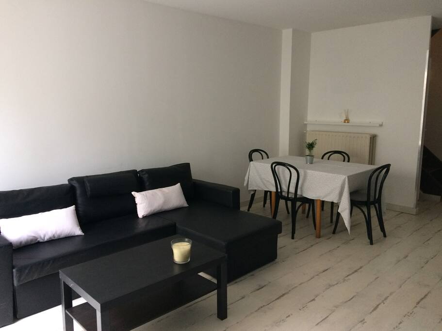 Séjour salon 30 m2 donnant sur jardinet