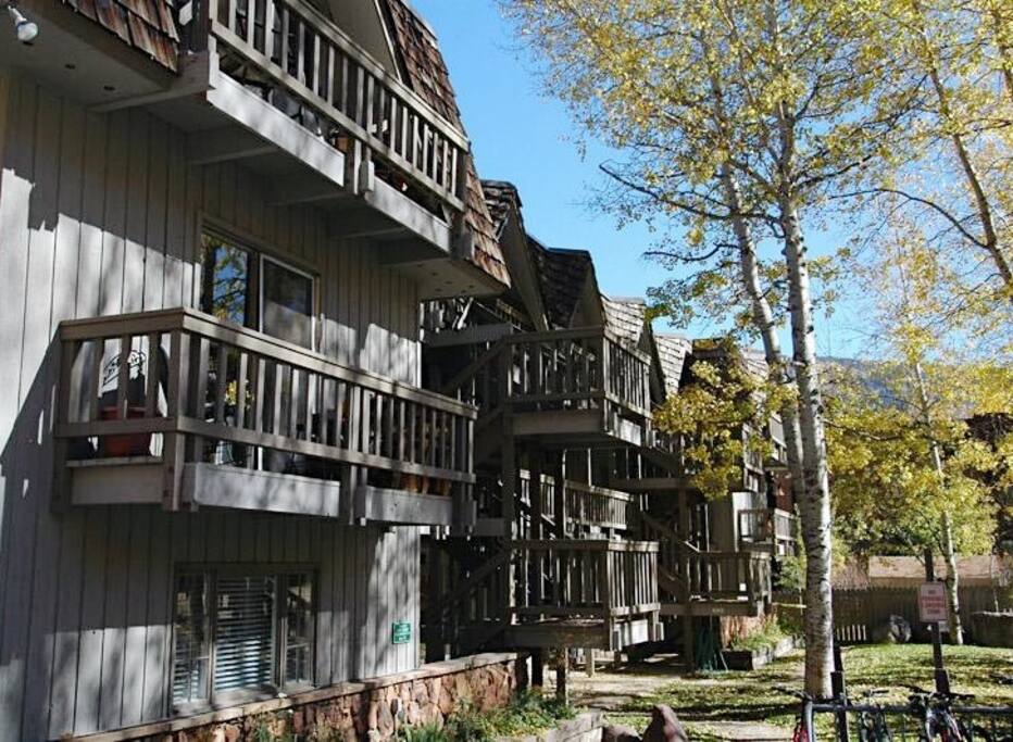 Large condo at base of Aspen.