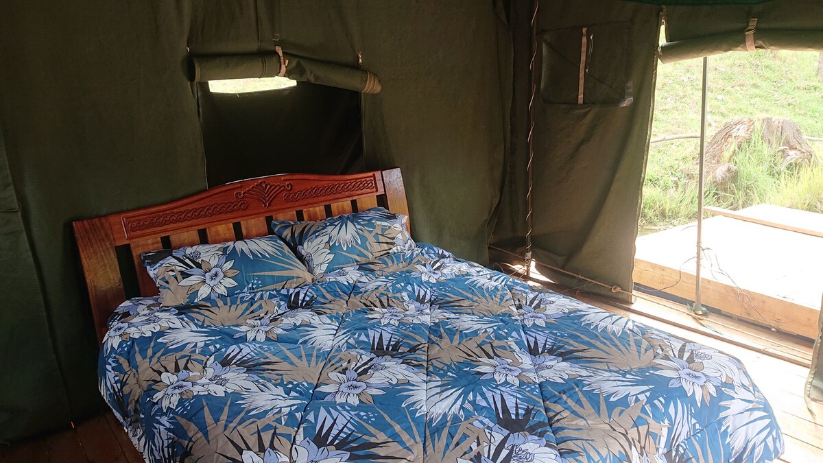 Ოლიმპიური საწოლი 152 × 203 სმ 2/ ახალი თეთრი ზეწრები 