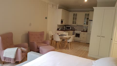 Beautiful 41m2 yr.1899 house in historical Turku