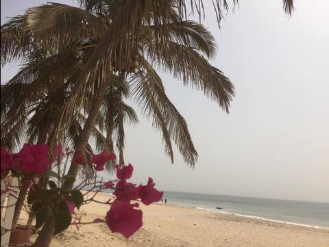 Pieds dans l'eau, Seafront appartement