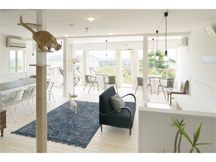 Living Space