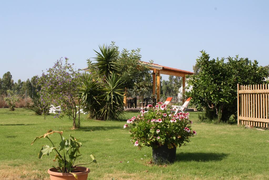 giardino
