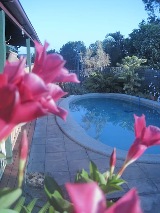 Saltwater pool