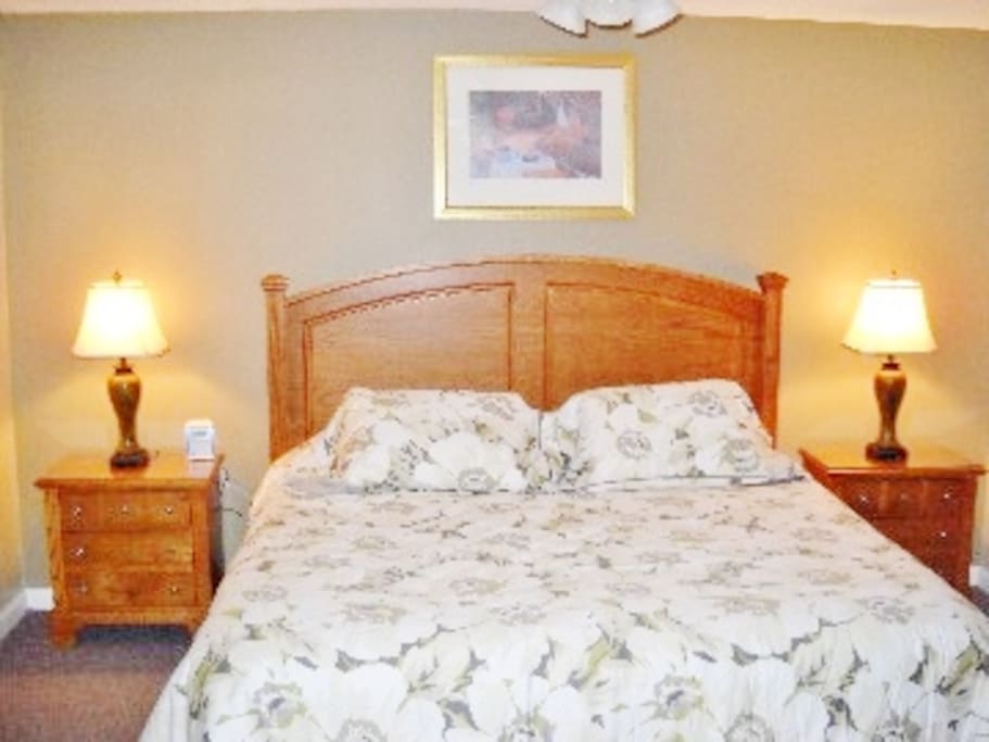 Master bedroom with king bed and Full Bathroom