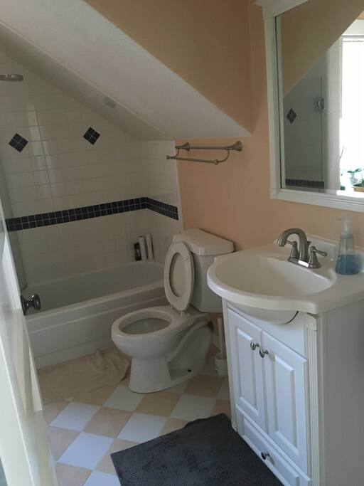 The bathroom