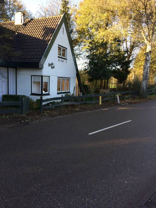 Straatbeeld