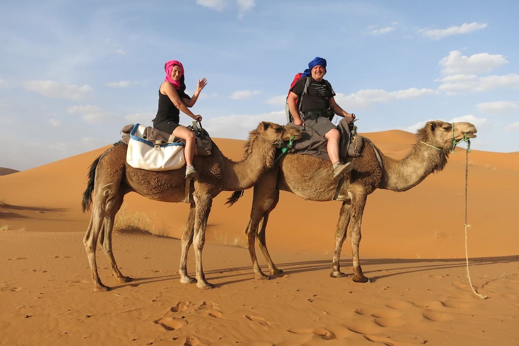 camel trik