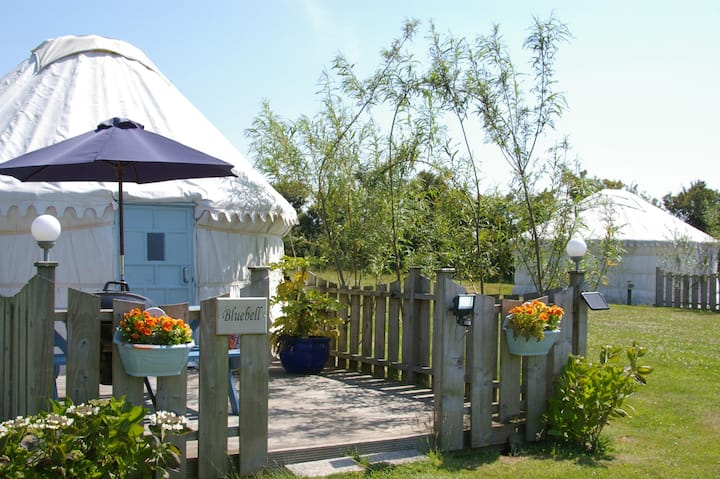 Bluebell Yurt