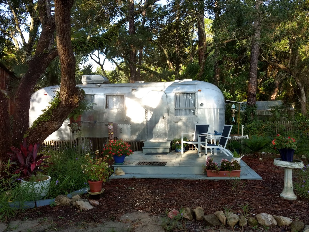 A vintage Airstream is set among lush greenery, featuring a patio area with two white chairs and scattered flower pots. Sunlight filters through the trees, casting soft shadows on the ground, creating a serene outdoor setting. The Airstream’s silver exterior complements the natural surroundings.