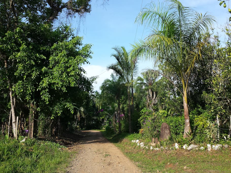 Entrada a la finca