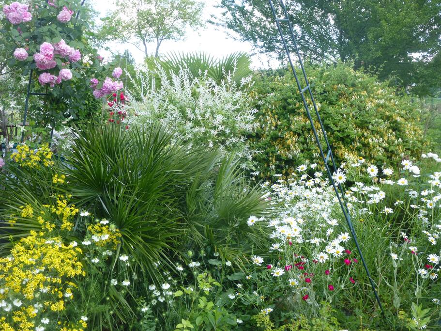 le jardin