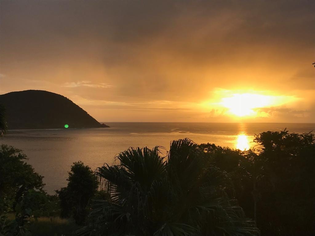 A serene coastal view features a golden sunset reflected on calm waters. Silhouettes of lush palm trees and distant hills create a natural frame, enhancing the tranquil atmosphere of the setting.