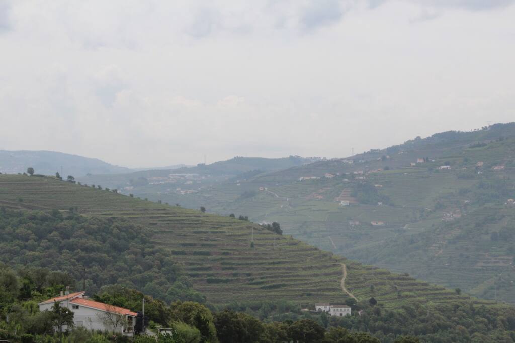 Paisagem