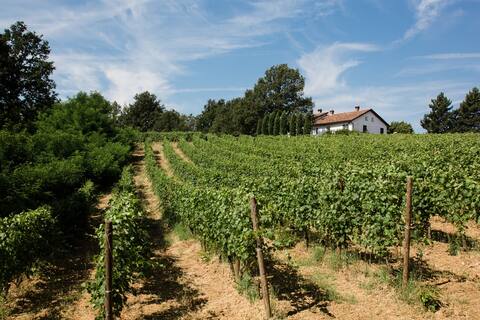 Bed&breakfast&wine