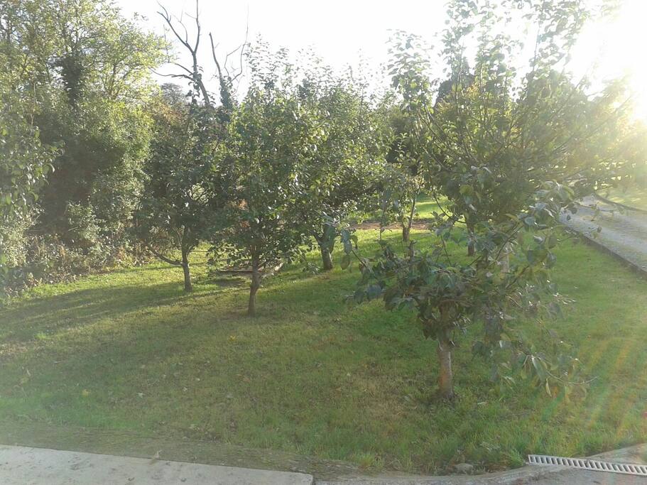 Fruit garden