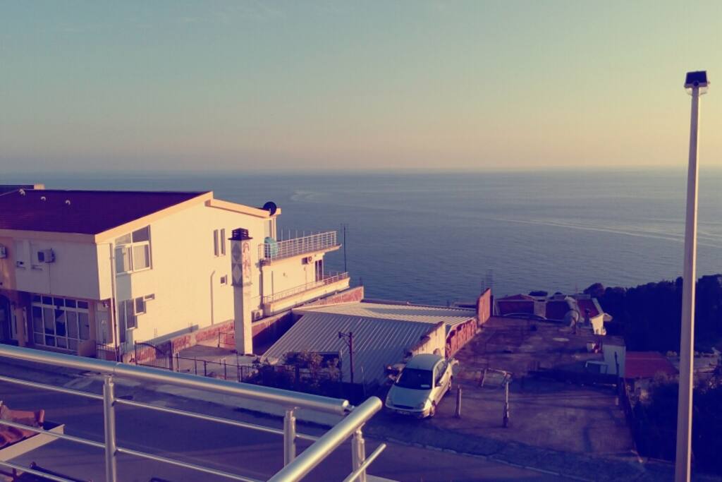 View