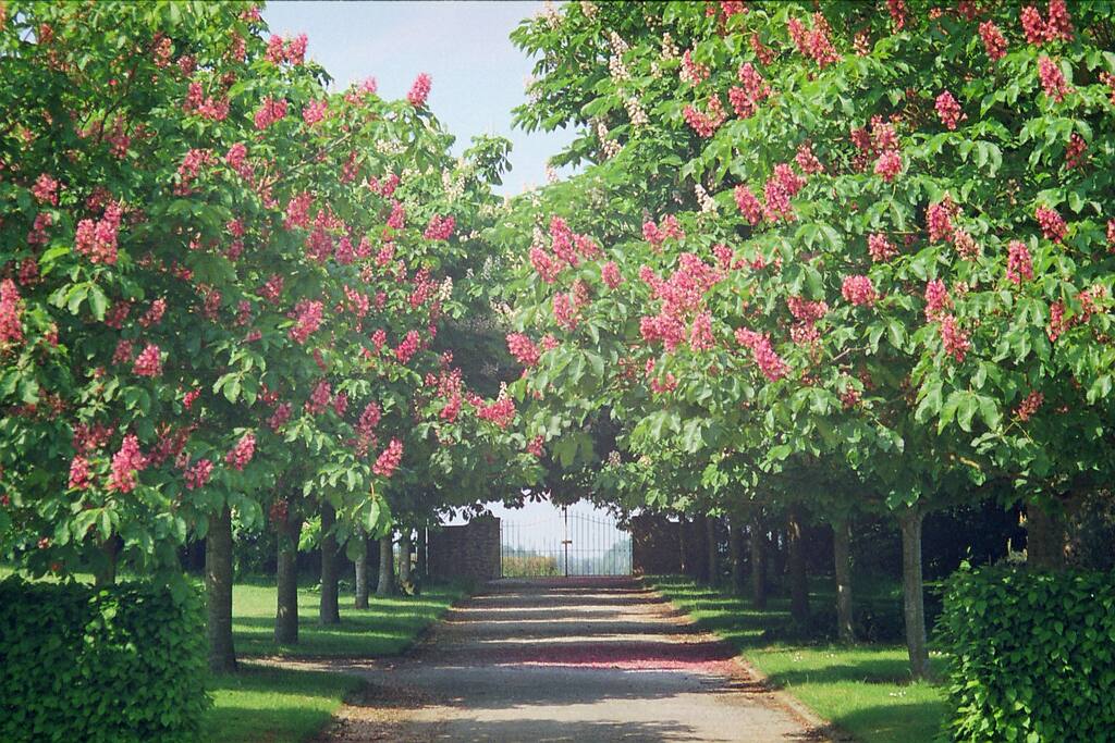 ALLEE PRIVATIVE