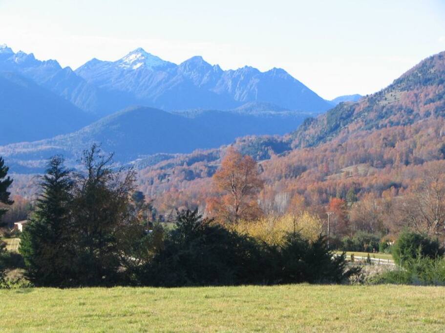 Vista panorámica a los nevados y bosque.