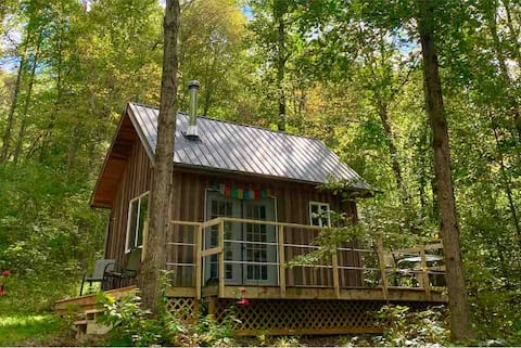 Tiny Cabin Retreat on 7 Private Wooded Acres