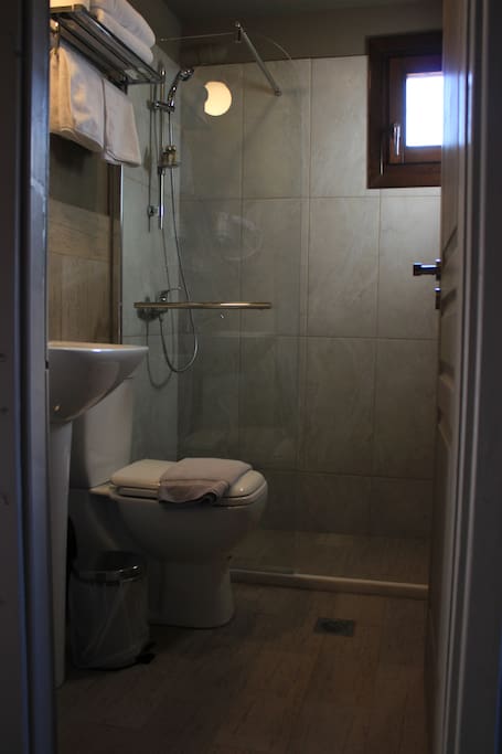 the toilet wc