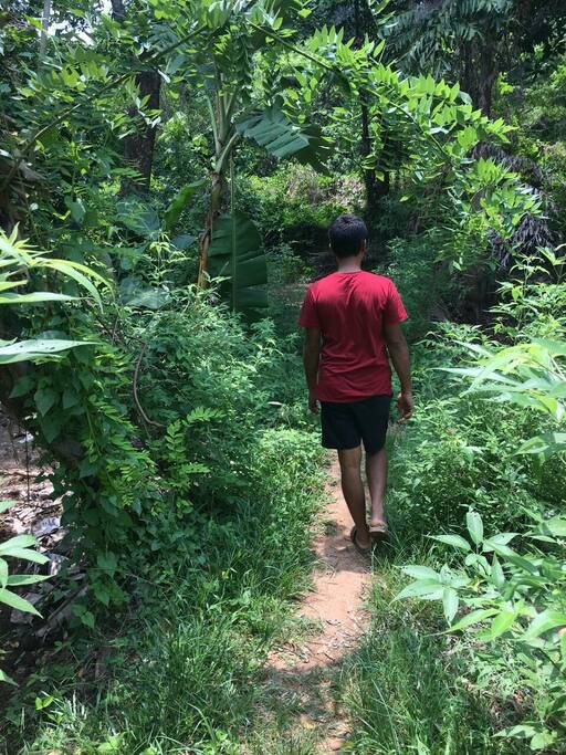 place to chill.. trekking near home