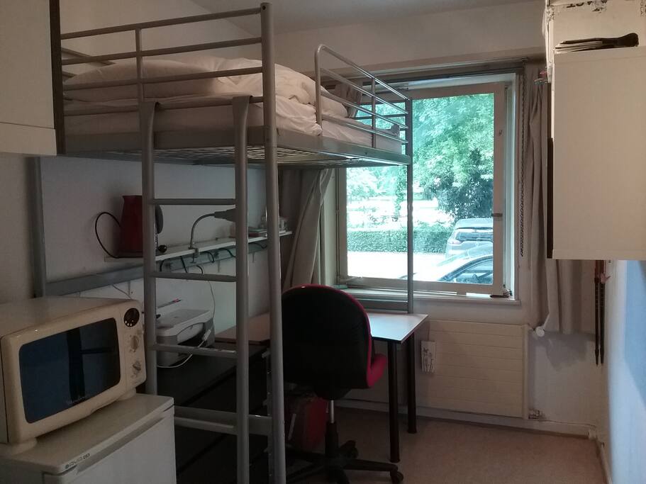 Bunk bed, desk and park view