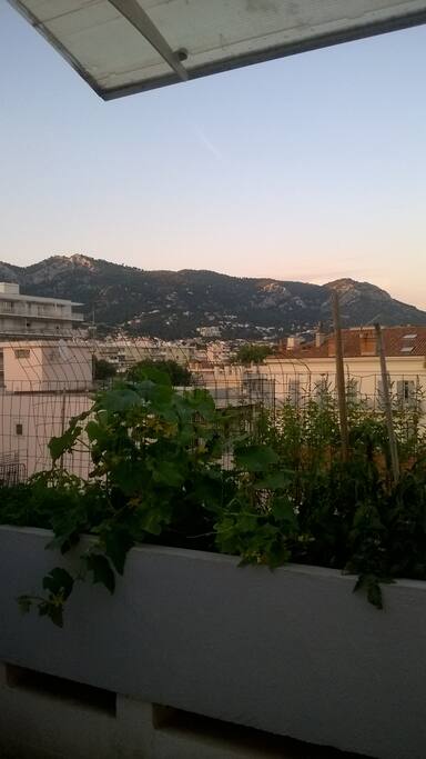 terrasse cuisine vu sur le Mon Faron
