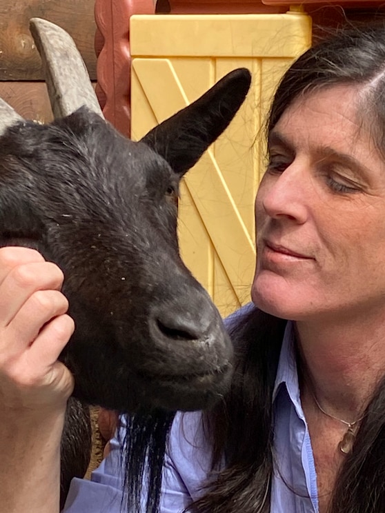 Mostrar imagem fornecida pelo anfitrião em ecrã inteiro