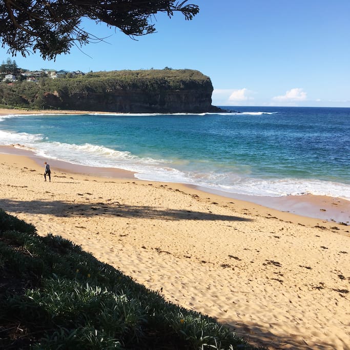 Mona Vale Beach adlı yerin fotoğrafı
